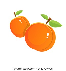 Ilustración de diseño vectorial de albaricoque fresco aislada en fondo blanco