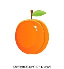 Fresh apricot vector design illustration isolated on white background
