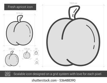 Fresh apricot vector line icon isolated on white background. Fresh apricot line icon for infographic, website or app. Scalable icon designed on a grid system.