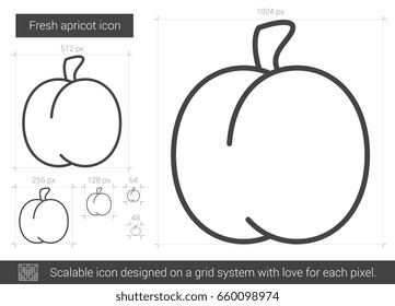 Fresh apricot vector line icon isolated on white background. Fresh apricot line icon for infographic, website or app. Scalable icon designed on a grid system.
