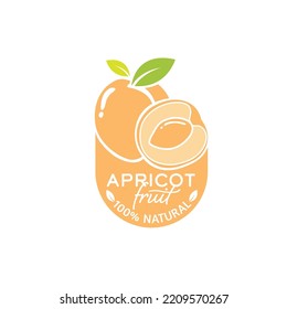 fresh apricots fruit vector illustration