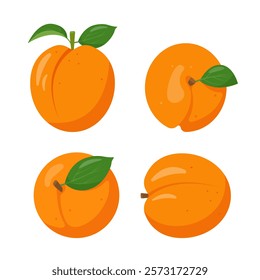 Fresh apricots fruits from different sides. Whole apricots with leaves. Organic fruit for juice, smoothie or vitamin healthy food. Vector icons illustration isolated on white background.