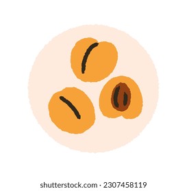 Fresh apricots on plate. Whole and cut fruit half with ripe flesh and pit. Healthy vitamin exotic food. Tropical nutrition, eating. Flat vector illustration isolated on white background