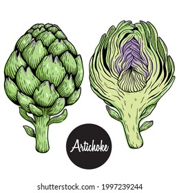 fresh Artichoke colored hand draw or sketchy style