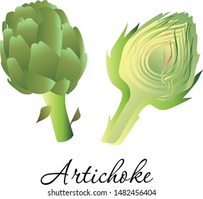 Fresh artichoke vegetable icon vector illustration. Whole and cut healthy and tasty buds with dark green scales. Vegetarian salad, diet nutrition, agriculture harvest themes design. Isolated on white