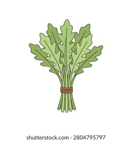 Fresh arugula leaves bunch icon illustration with vegetable ingredient vegetarian nutrition culinary freshness