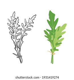 Fresh arugula leaves hand drawn sketch isolated on white background. Rocket salad or arugula. Vector