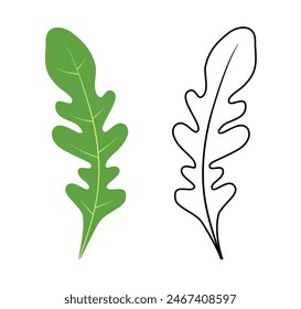Fresh arugula leaves, hand-drawn, isolated on a white background.  Vector contour and color image levitating handlebar, eruka, logo, icon