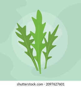fresh arugula leaves icon -vector illustration