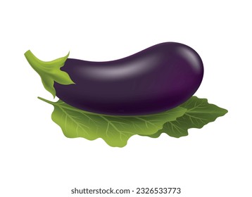 Fresh aubergine 3d image. Purple brinjal garden vegetable with green leaves isolated on white, violet guinea squash photo realistic vector illustration, ripe eggplant diet fruit