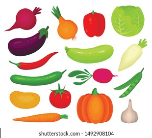 Fresh autumn vegetables vector flat illustrations set. Cabbage, tomato pumpkin, bell pepper isolated cliparts pack. Organic farm products. Harvesting, natural veggies design elements