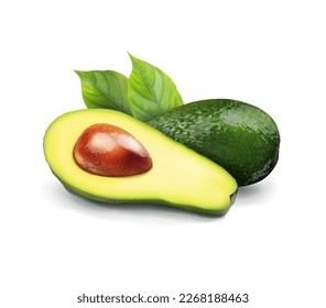 Fresh avocado cut with green leaves. Vector illustration.