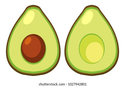 Fresh avocado cut in half illustration