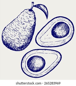 Fresh avocado fruit. Doodle style