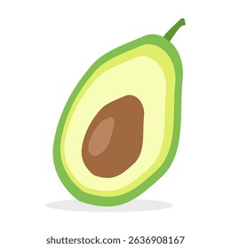 Fresh avocado fruit slices. Illustration vector