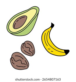 Fresh avocado fruit. Yellow banana snack. Brown walnut nuts. Organic food Vector.