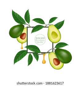 The fresh Avocado for good health elegant vector illustration.