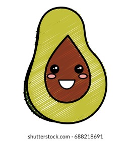 fresh avocado isolated icon
