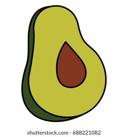 fresh avocado isolated icon
