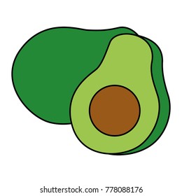 fresh avocado isolated icon