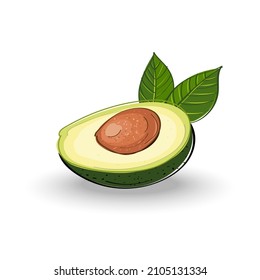 Vocado fresco con hojas aisladas en fondo blanco. medio aguacate vectorial.