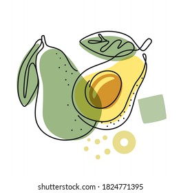 fresh avocado on color abstract background. Linear style sign for print and web design, packaging, label. Outline vegetable food theme.