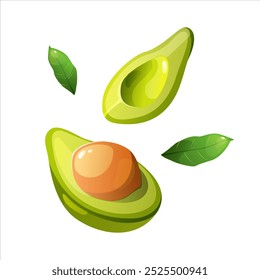 Fresh avocado pieces cartoon vector. Whole and cut in half avocado with pit. Exotic fruit, healthy nutrition isolated on white background