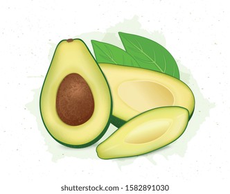 Fresh avocado pieces vector illustration
