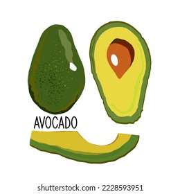 fresh avocado vector illustration, slice