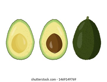 Fresh avocado vector illutration. Raw fruit cutted and whole one. 