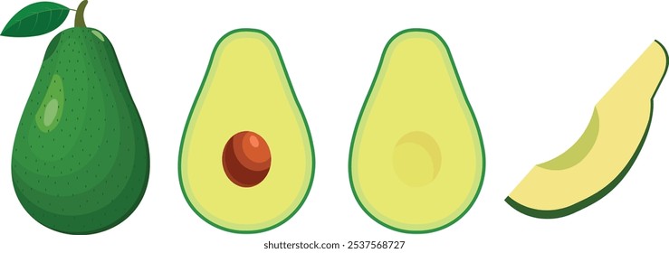 Fresh Avocado vector whole, sliced , cut in half avocado with pit, healthy and nutrition fruit, simple vector illustration isolated on white background