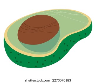 fresh avocado vegetable healthy food