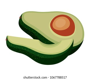 fresh avocado vegetable icon