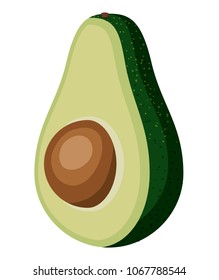 fresh avocado vegetable icon