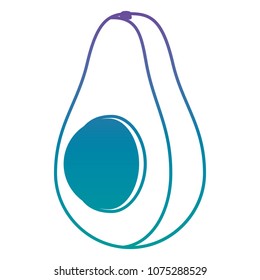 fresh avocado vegetable icon