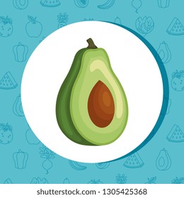 fresh avocado vegetable icon