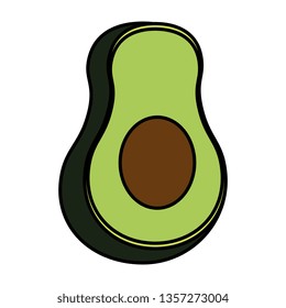 fresh avocado vegetable icon