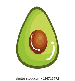 fresh avocado vegetable icon