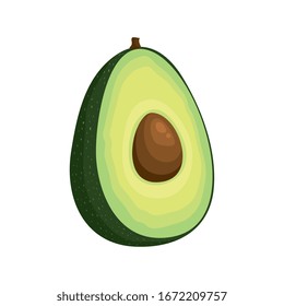 fresh avocado vegetable isolated icon vector illustration design