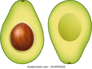 Fresh Avocado With White Background With Gradient Mesh, Vector Illustration