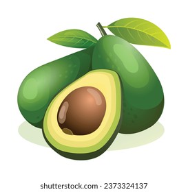 Fresh avocado whole and half cut. Vector illustration isolated on white background