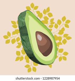 Fresh avocado.Organic, healthy food.