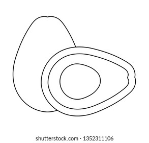 fresh avocados healthy isolated icon
