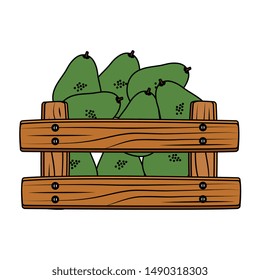fresh avocados vegetables in wooden box