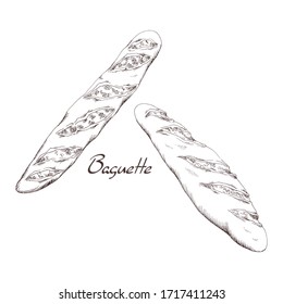 Fresh baguette from the bakery. French style bread. Long crisp loaf. Ink illustration in old vintage style. Isolated