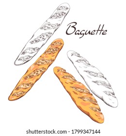 Fresh baguette from the bakery. French style bread. Long crisp loaf. Ink colored illustration in old vintage style. Isolated clipart set on white background. Hand-drawn sketch.