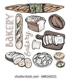 Fresh baked bread. Hand drawn doodle for bakery shop. 