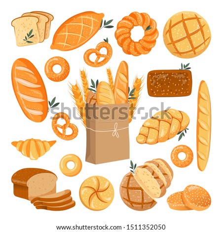 Fresh baked grain bread set. Vector flat cartoon illustration. Rye and wheat buns, loaf, bagel and baguette. Bakery design elements, isolated on white background.