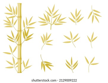 Fresh bamboo leaves trunks and branches, botanical zen forest, tropical elements. Yellow bamboo 