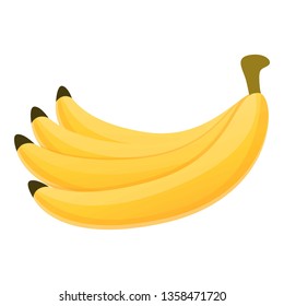 Fresh banana bunch icon. Cartoon of fresh banana bunch vector icon for web design isolated on white background